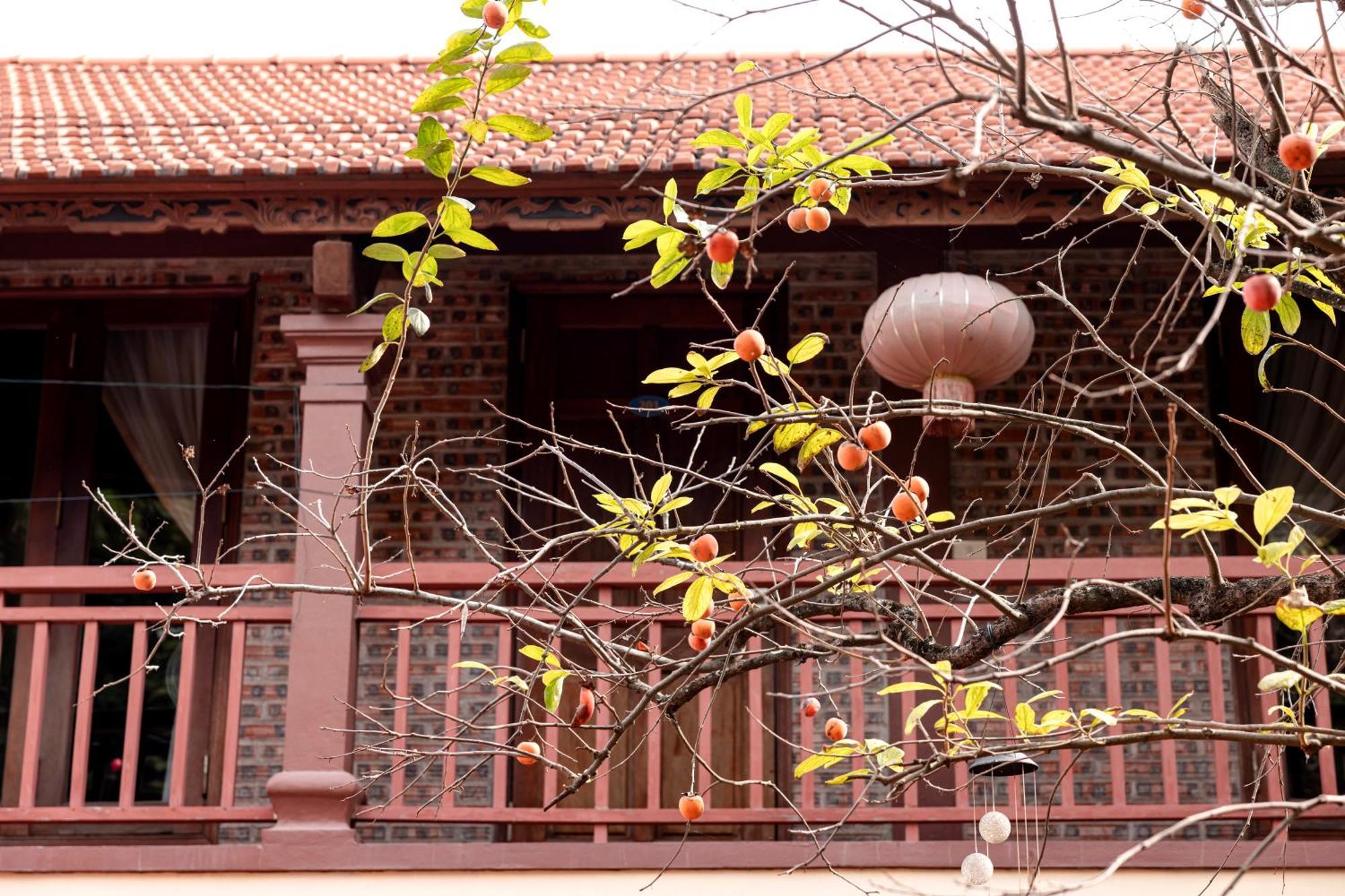 Tam Coc Ngoc Linh Bungalow Ninh Binh Zewnętrze zdjęcie